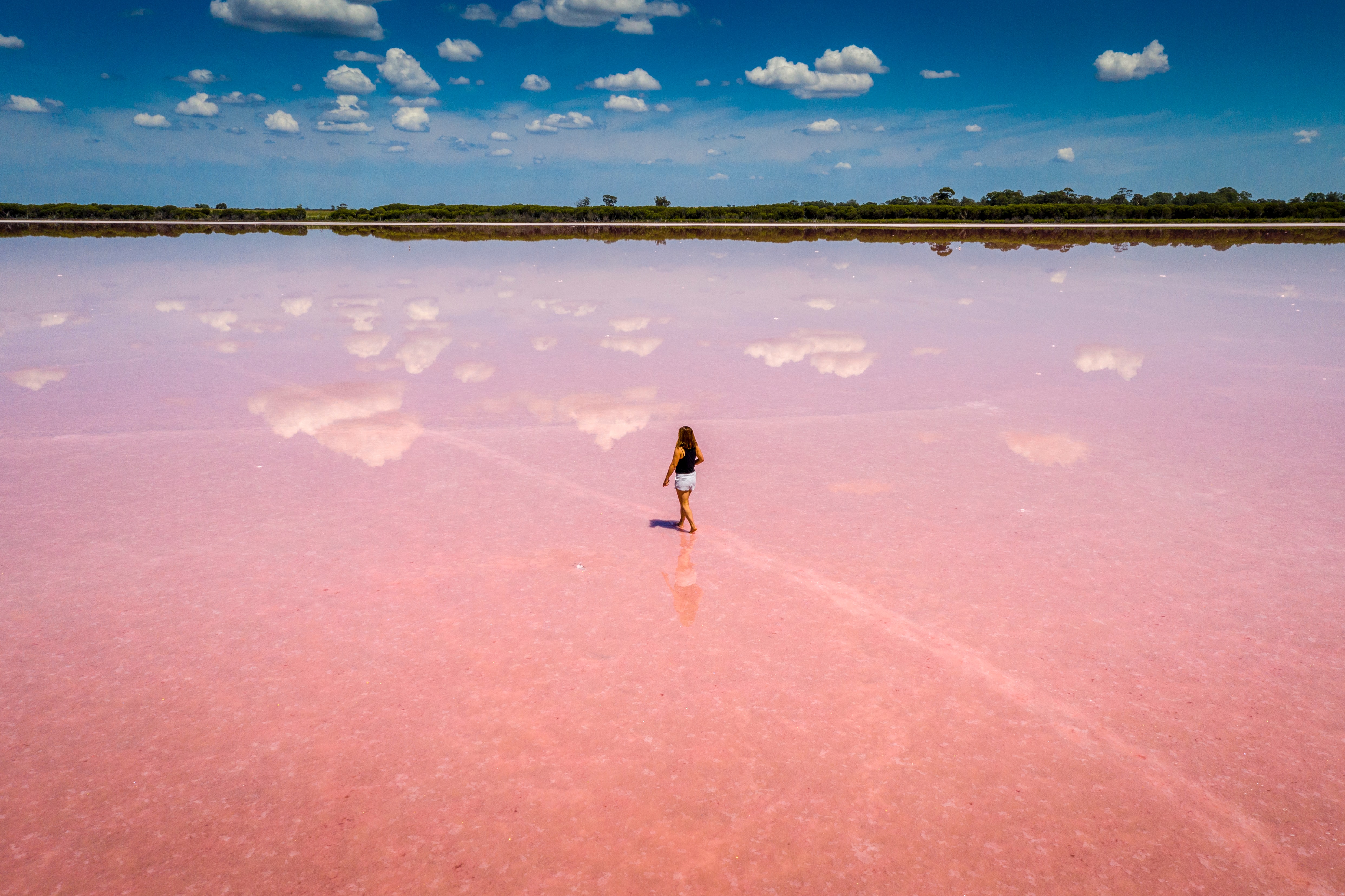 pinkLake